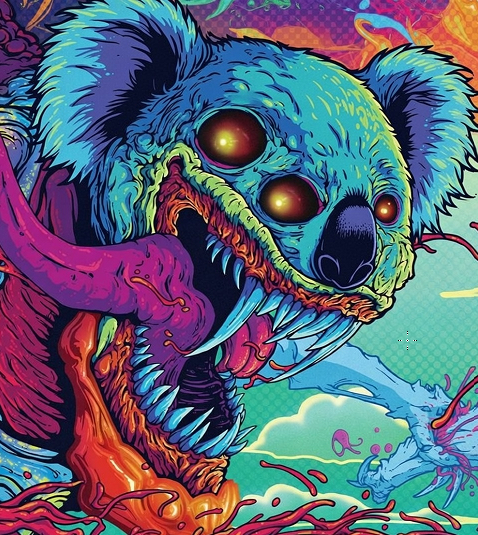 Zedef Koala avatar